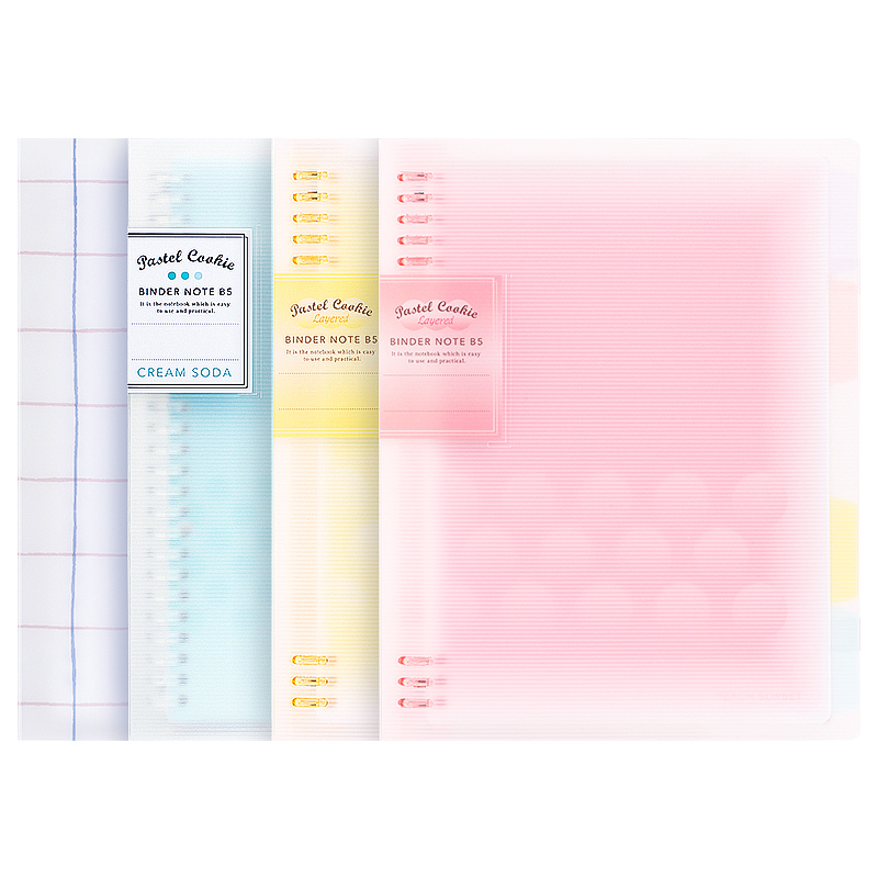 KOKUYO-Cuaderno de hojas suelt - Binder A4 Lever reseña y precio
