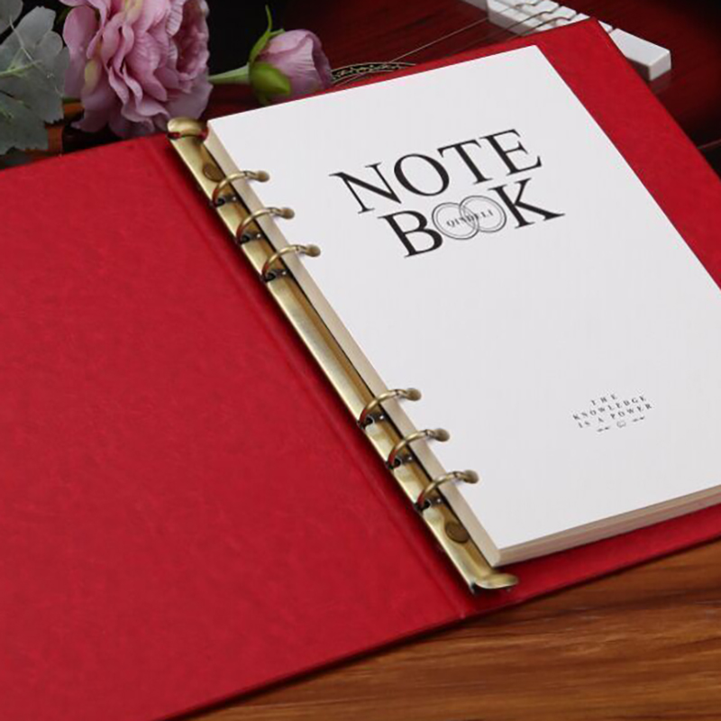 Clips de carpeta de anillas de - Binder A4 Lever reseña y precio