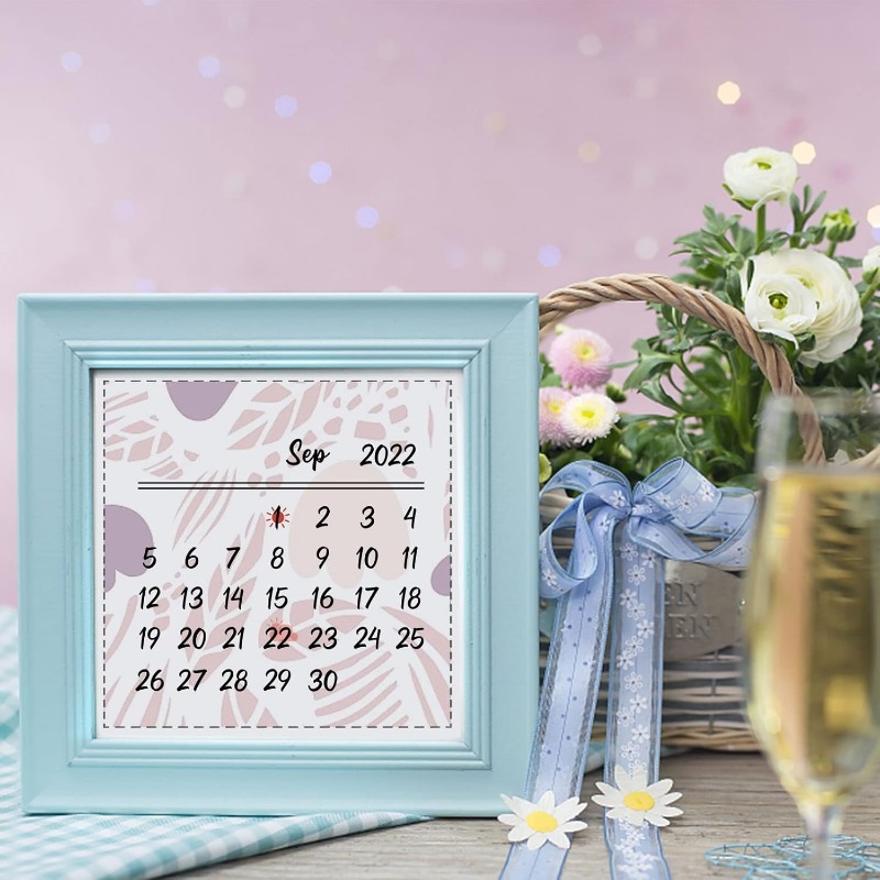 Sellos transparentes de calend - Rubber Date Stamp reseña y precio
